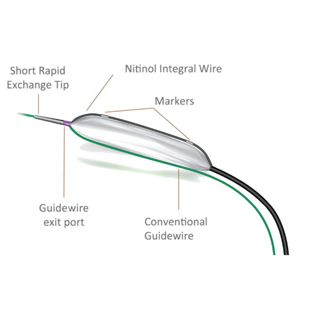 Scoreflex NC PTCA Balloon Catheters - Dilation Angioplasty ...